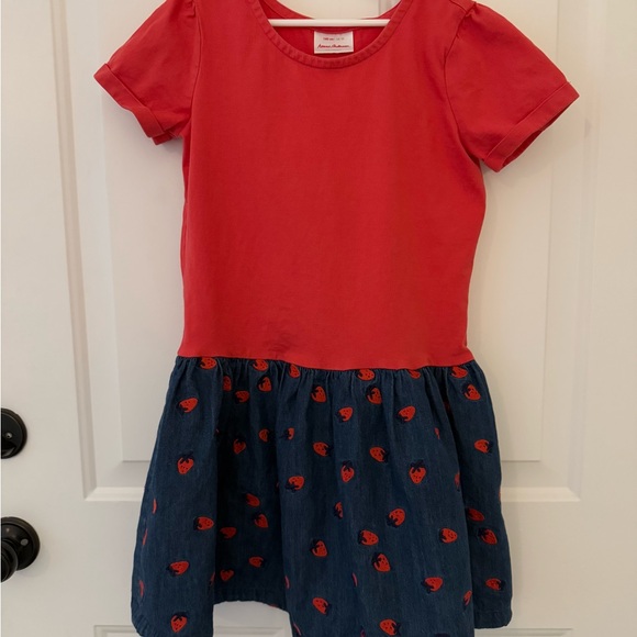 Hanna Andersson Strawberry Denim Dress - Picture 1 of 3